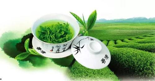 娱乐吃瓜酱绿茶,绿茶与吃瓜酱的幕后故事